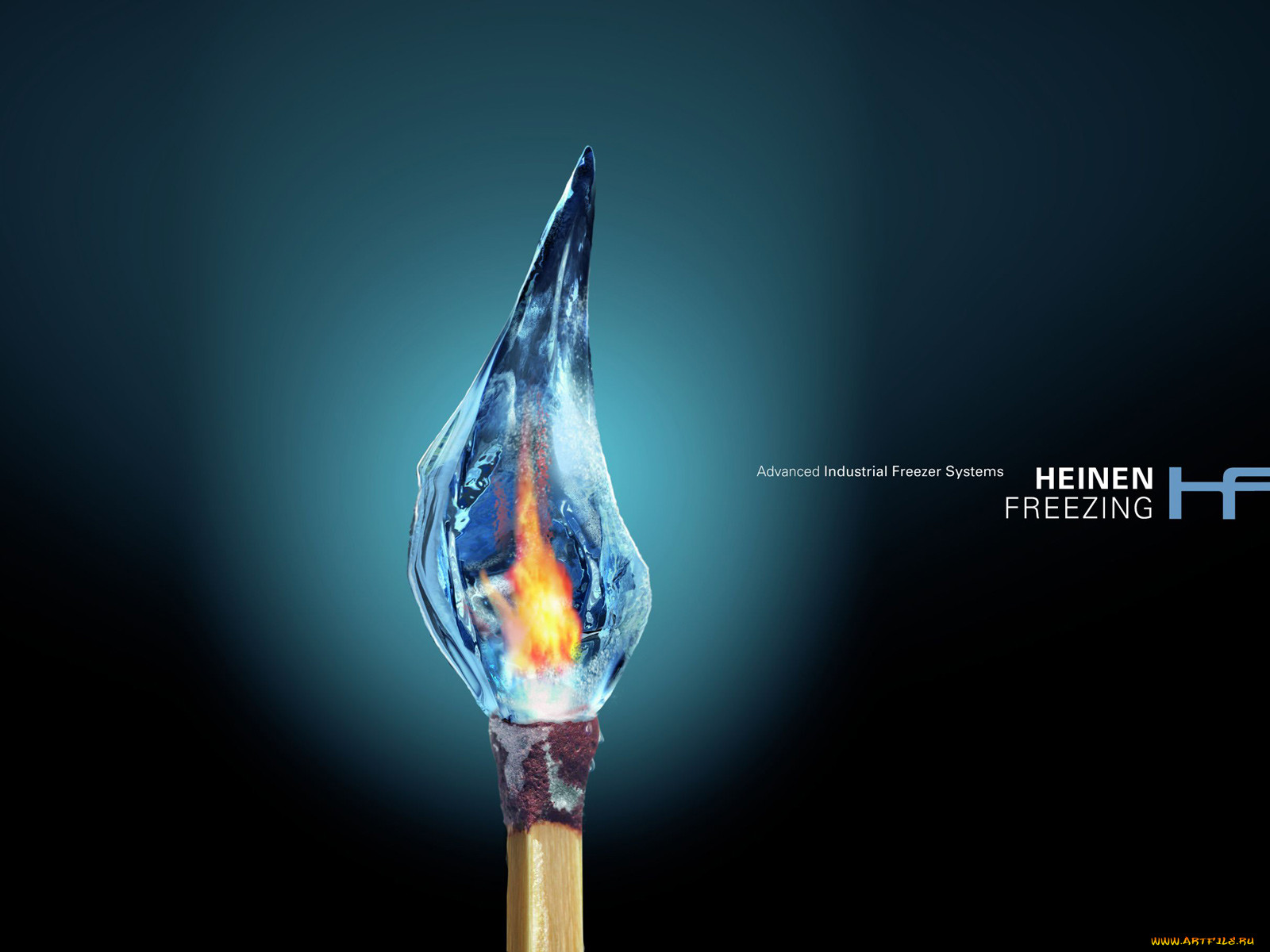 heinen, freezing, , , , 